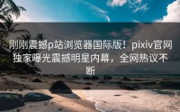 刚刚震撼p站浏览器国际版！pixiv官网独家曝光震撼明星内幕，全网热议不断