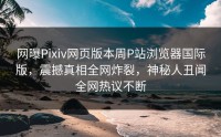 网曝Pixiv网页版本周P站浏览器国际版，震撼真相全网炸裂，神秘人丑闻全网热议不断