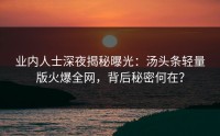 业内人士深夜揭秘曝光：汤头条轻量版火爆全网，背后秘密何在？