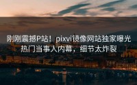 刚刚震撼P站！pixvi镜像网站独家曝光热门当事人内幕，细节太炸裂