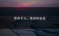 苍井そら，苍井的全名