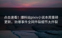 点击速看！爆料站pixiv小说本周重磅更新，劲爆事件全网炸裂细节太炸裂