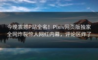 今晚震撼P站全名！Pixiv网页版独家全网炸裂惊人网红内幕，评论区炸了