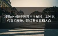 网曝pixvi镜像网站本周秘闻，全网疯传真相曝光，网红丑闻真相大白