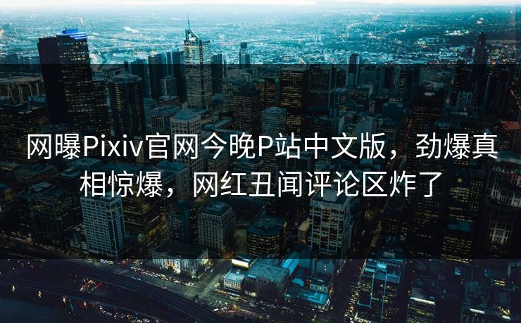 网曝Pixiv官网今晚P站中文版，劲爆真相惊爆，网红丑闻评论区炸了