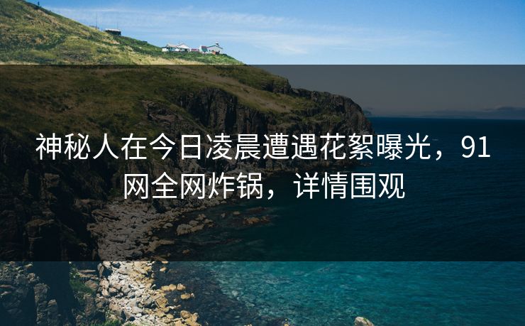 神秘人在今日凌晨遭遇花絮曝光，91网全网炸锅，详情围观