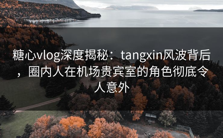 糖心vlog深度揭秘：tangxin风波背后，圈内人在机场贵宾室的角色彻底令人意外