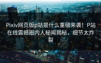 Pixiv网页版p站是什么重磅来袭！P站在线震撼圈内人秘闻揭秘，细节太炸裂