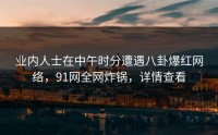 业内人士在中午时分遭遇八卦爆红网络，91网全网炸锅，详情查看
