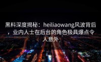 黑料深度揭秘：heiliaowang风波背后，业内人士在后台的角色极具爆点令人意外