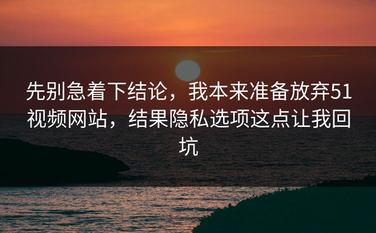 先别急着下结论，我本来准备放弃51视频网站，结果隐私选项这点让我回坑