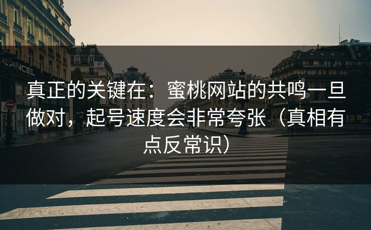 真正的关键在：蜜桃网站的共鸣一旦做对，起号速度会非常夸张（真相有点反常识）